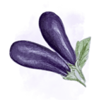 Aubergines
