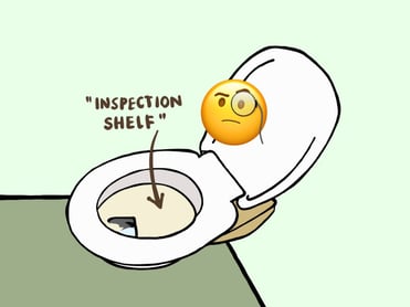B2C new blog post - austria culture shock toilet shelf-1