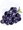 Blackcurrant
