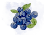 Blueberries