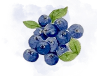 Blueberries