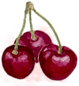 Cherries