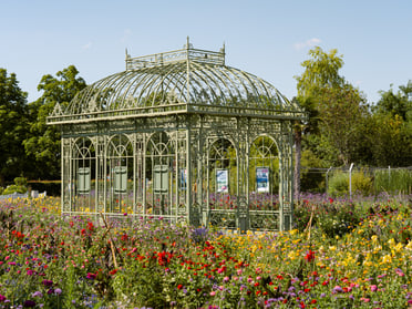 DSC07729_Sommerblumenschau_Pavilion,_Flower_Gardens_Hirschstetten,_2025-07