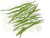Green beans