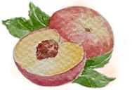 Peaches