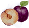 Plums