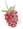 Raspberry