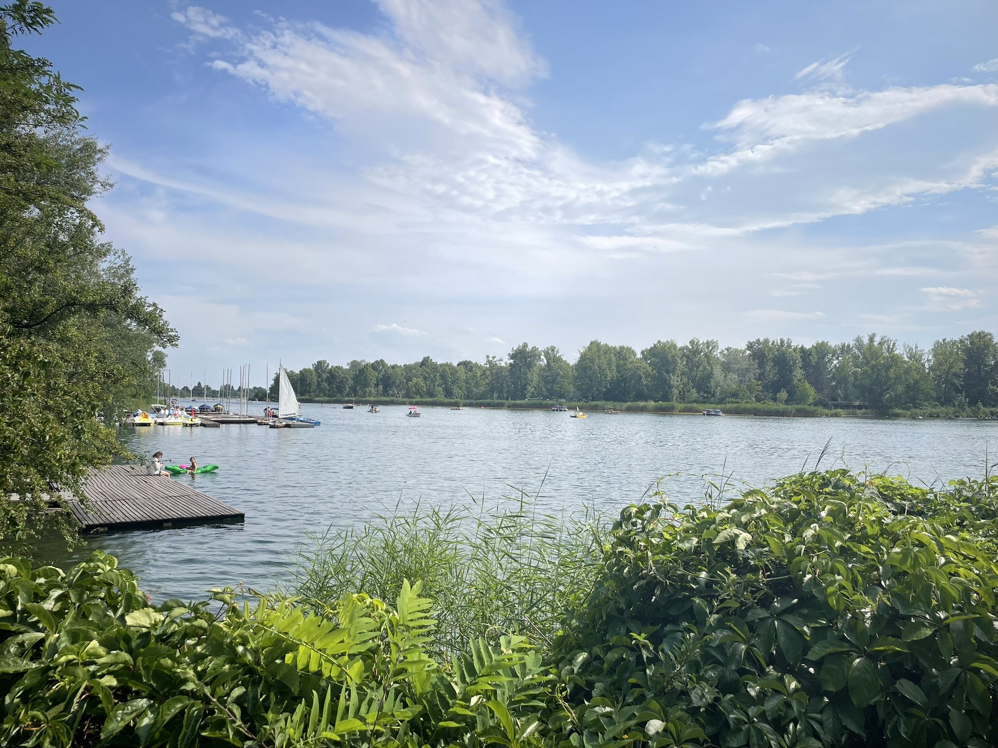 What to do in Vienna in August